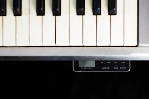 Pianos 5 (14)